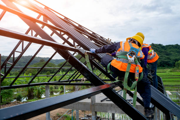 Best Roof Repair Services  in Dryden, MI