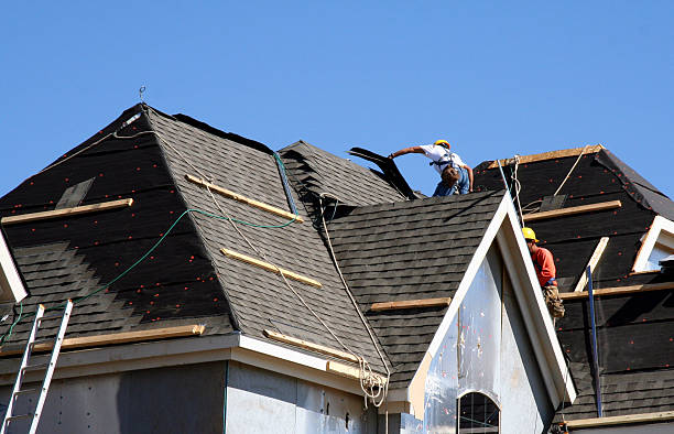 Best Metal Roofing Contractor  in Dryden, MI