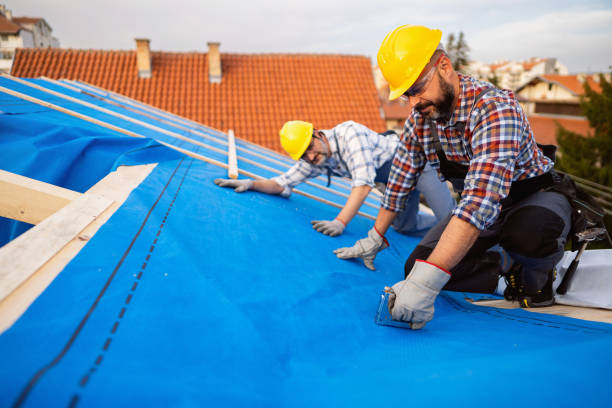Best Residential Roofing Contractor  in Dryden, MI