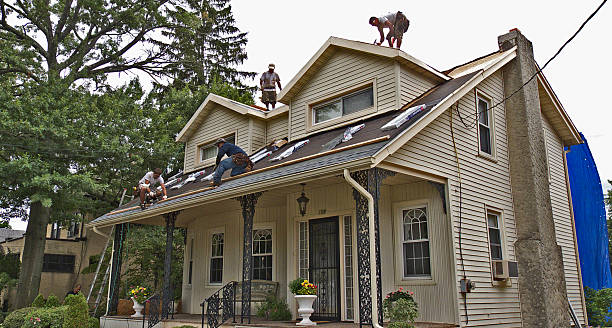 Best New Roof Installation  in Dryden, MI