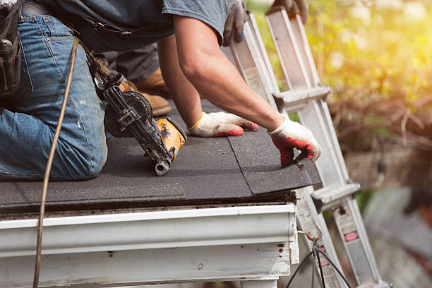 Best Metal Roofing Contractor  in Dryden, MI